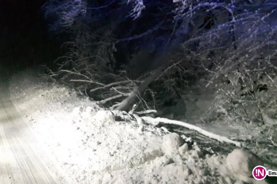 42 interwencje straży pożarnej - zdjęcie 3