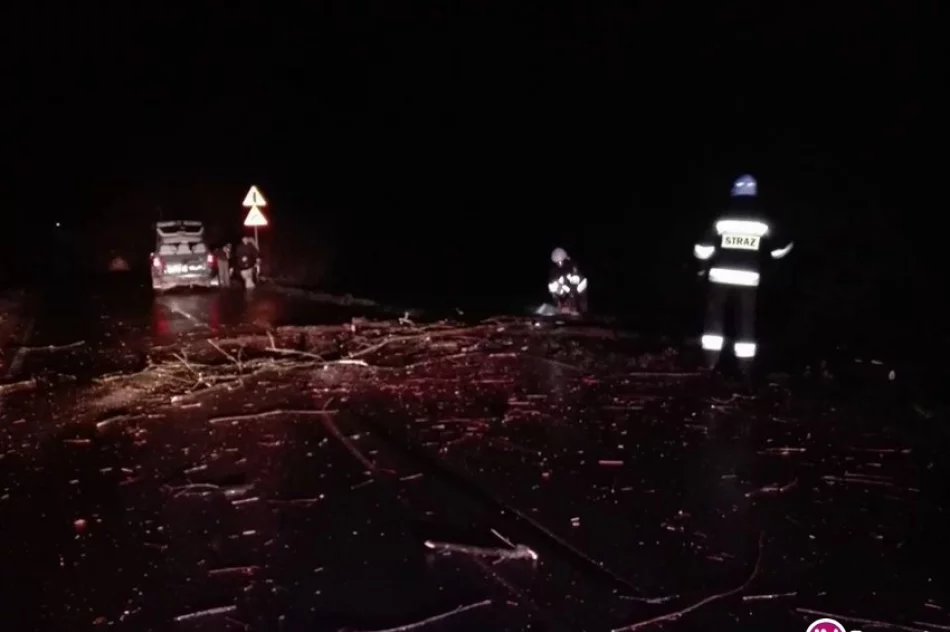 42 interwencje straży pożarnej - zdjęcie 4