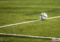 Skalnik skuteczny w Zalesiu - zdjęcie główne