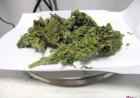 Zostali zatrzymani, bo zachowywali się nerwowo - zdjęcie główne