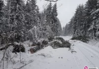 Śnieg i silny wiatr w górach (wideo) - zdjęcie główne