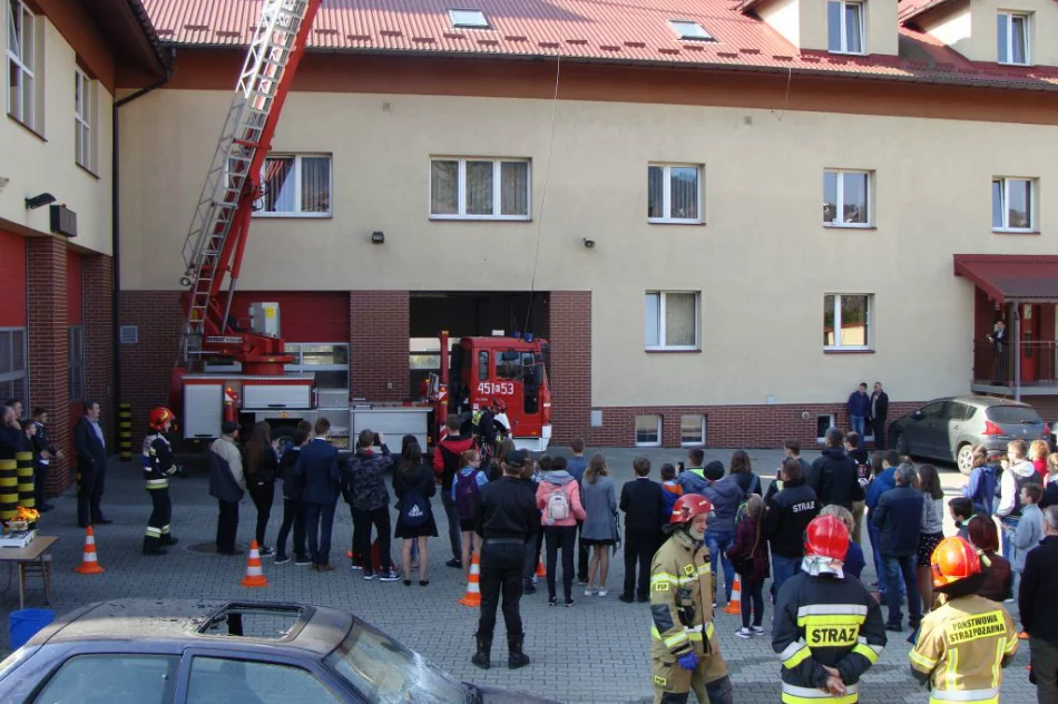 Młodzież Zapobiega Pożarom - znane wyniki eliminacji powiatowych - zdjęcie 8