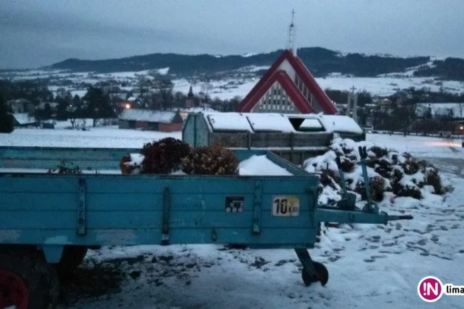Śmieci z cmentarza trafiły do... lasu - zdjęcie 2