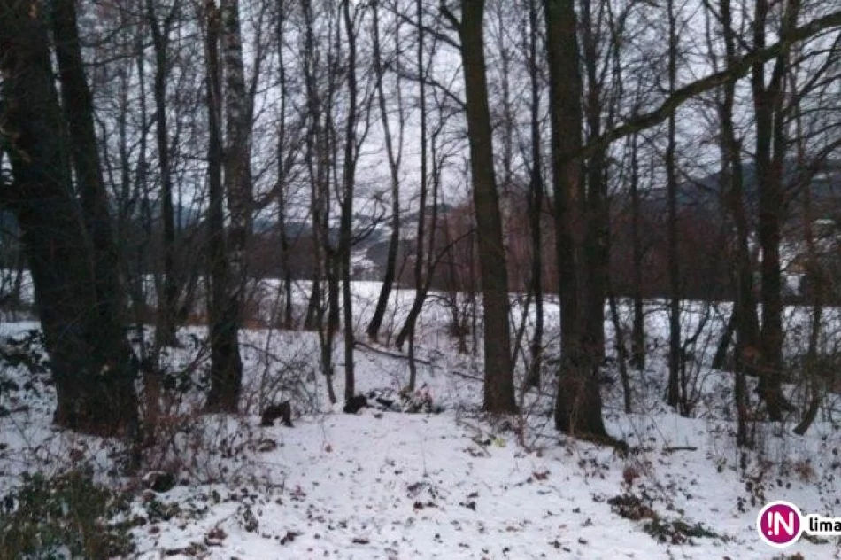 Śmieci z cmentarza trafiły do... lasu - zdjęcie 4
