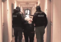 Właśnie trafili za kratki - zdjęcie główne