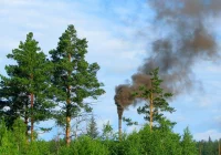 Ekointerwencje w dziesiątkach małopolskich gmin - zdjęcie główne