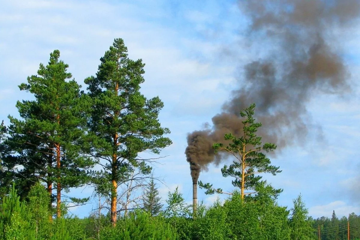 Ekointerwencje w dziesiątkach małopolskich gmin