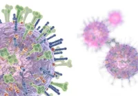 Eksperci: najwyższa od ponad 5 lat śmiertelność z powodu grypy - zdjęcie główne