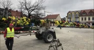 PALMA WIELKANOCNA ZDOBI LIMANOWSKI RYNEK - zdjęcie 3
