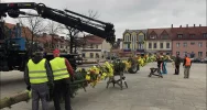 PALMA WIELKANOCNA ZDOBI LIMANOWSKI RYNEK - zdjęcie 5