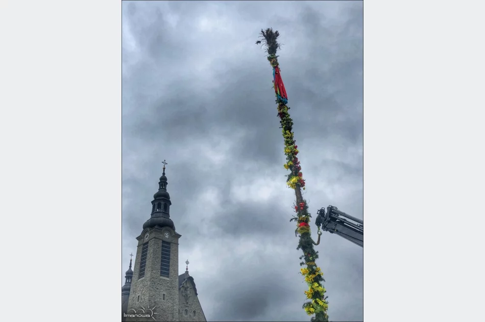 PALMA WIELKANOCNA ZDOBI LIMANOWSKI RYNEK - zdjęcie 6