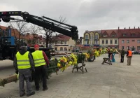 Wielkanocna palma na Rynku zwiastuje zbliżające się święta - zdjęcie główne