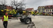 Wielkanocna palma na Rynku zwiastuje zbliżające się święta - zdjęcie 3