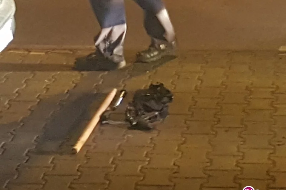 Wieczorna awantura i zatrzymana grupa osób: mieli pałki, paralizatory i pistolet ciśnieniowy - zdjęcie 2