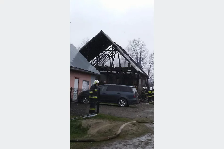 42 strażaków walczyło z ogniem - zdjęcie 9