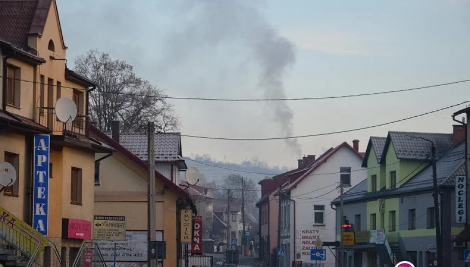 Miasto chce walczyć o czyste powietrze - zdjęcie 1