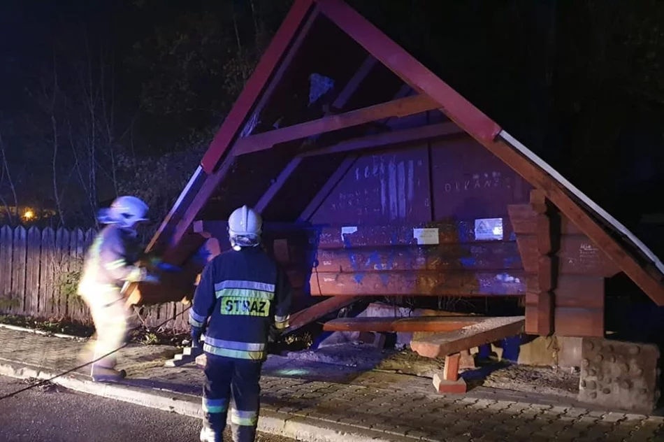 Samochód wypadł z jezdni i uszkodził wiatę przystanku - zdjęcie 5