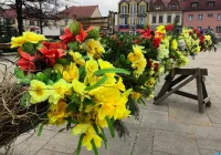 Dziś Niedziela Palmowa. Jakim symbolem wielkanocna palma jest w polskiej tradycji?  - zdjęcie główne