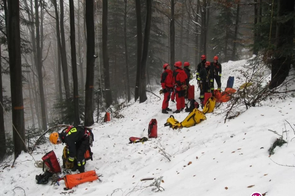 Warsztaty dla ratowników wysokościowych z Małopolski - zdjęcie 2