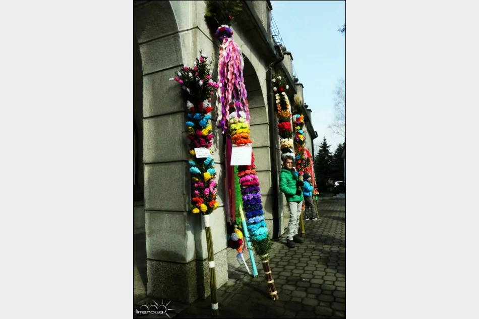 OCENIONO 47 PALM WIELKANOCNYCH - zdjęcie 2