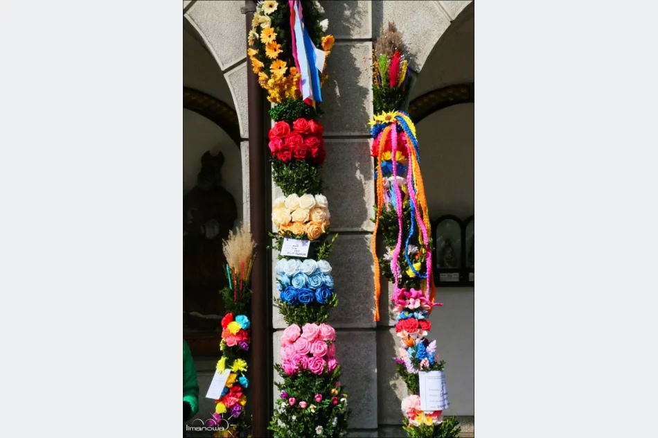 OCENIONO 47 PALM WIELKANOCNYCH - zdjęcie 4