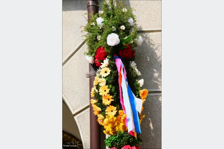 OCENIONO 47 PALM WIELKANOCNYCH - zdjęcie 5