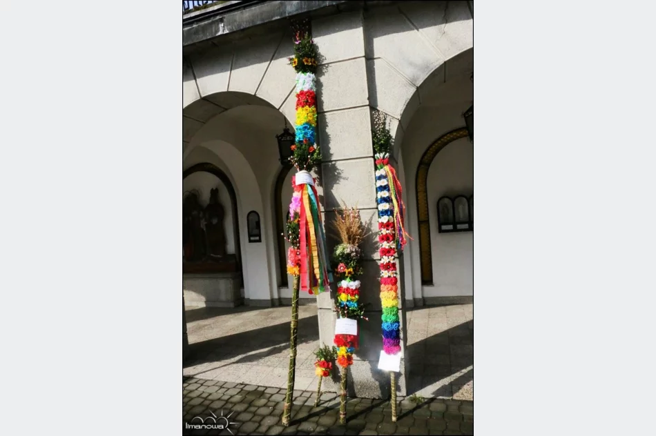 OCENIONO 47 PALM WIELKANOCNYCH - zdjęcie 6