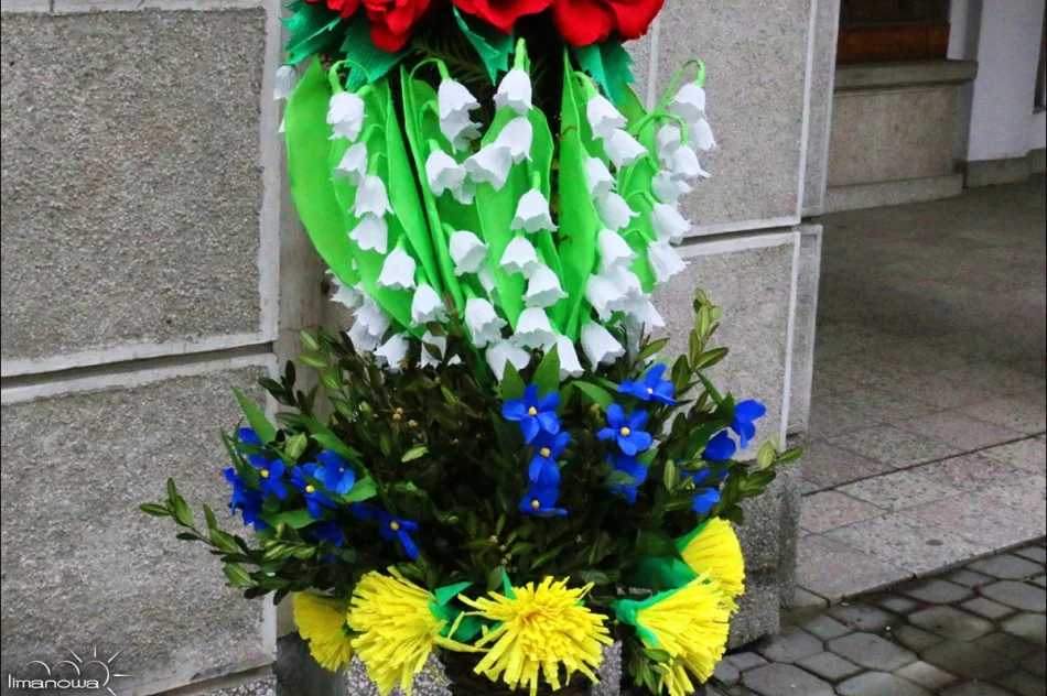 OCENIONO 47 PALM WIELKANOCNYCH - zdjęcie 7