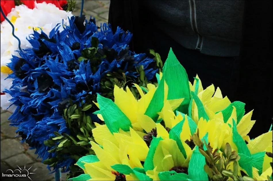 OCENIONO 47 PALM WIELKANOCNYCH - zdjęcie 8