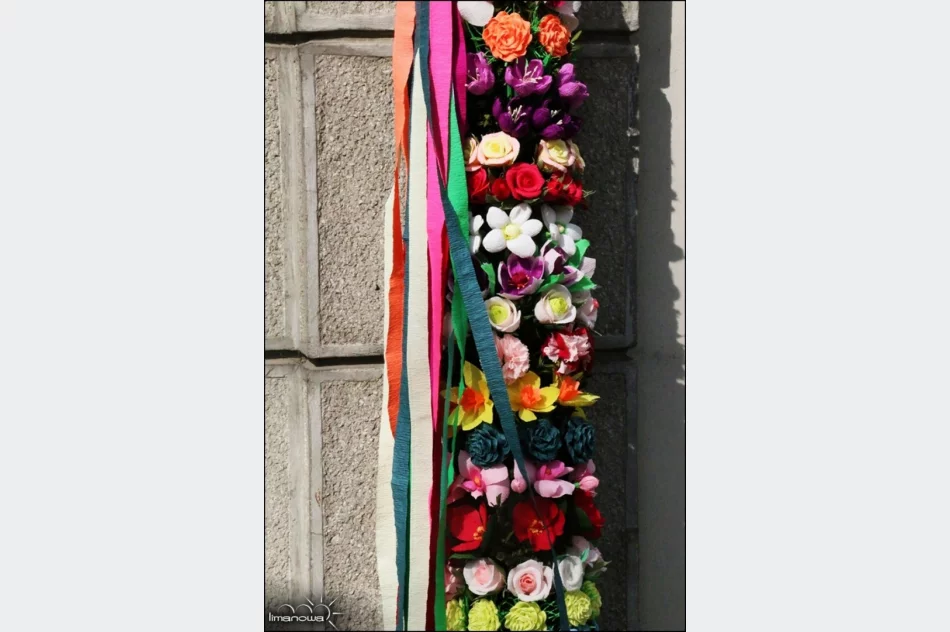 OCENIONO 47 PALM WIELKANOCNYCH - zdjęcie 9