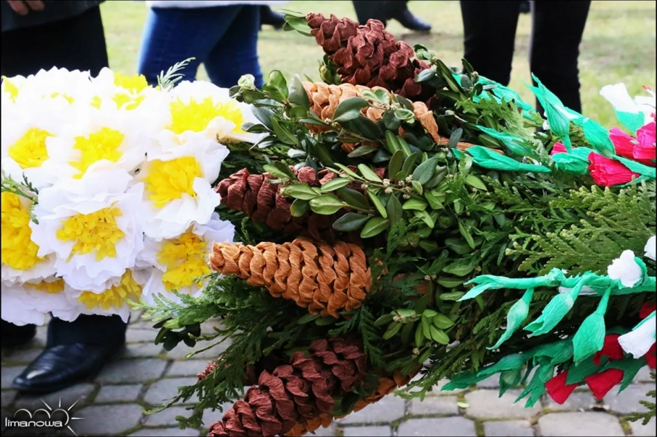 OCENIONO 47 PALM WIELKANOCNYCH - zdjęcie 11