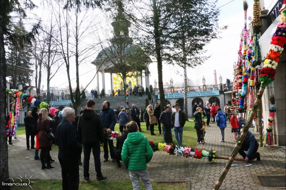 OCENIONO 47 PALM WIELKANOCNYCH - zdjęcie 13