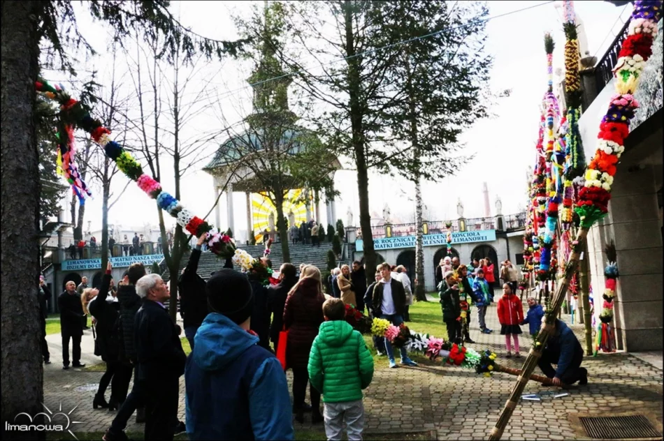 OCENIONO 47 PALM WIELKANOCNYCH - zdjęcie 14