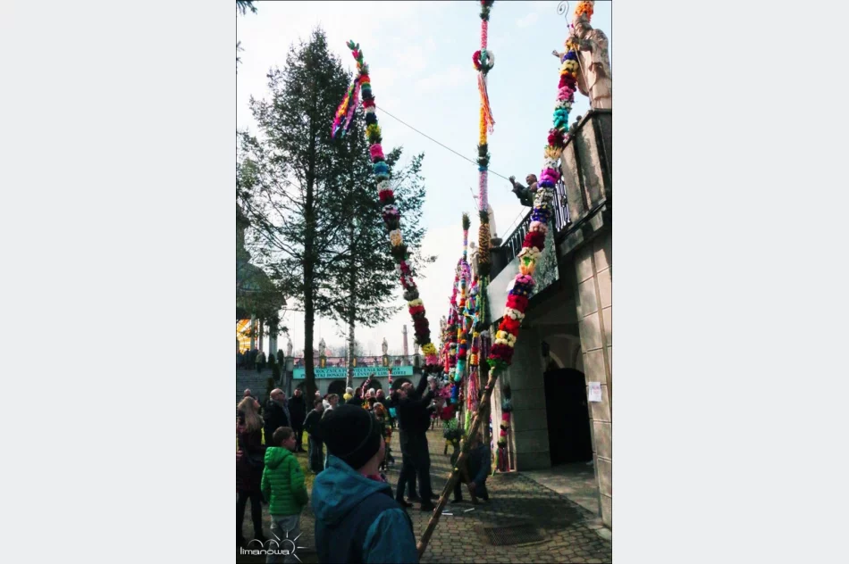 OCENIONO 47 PALM WIELKANOCNYCH - zdjęcie 15