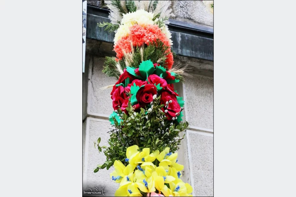 OCENIONO 47 PALM WIELKANOCNYCH - zdjęcie 16