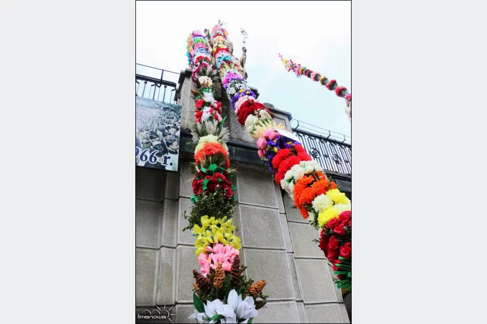 OCENIONO 47 PALM WIELKANOCNYCH - zdjęcie 17