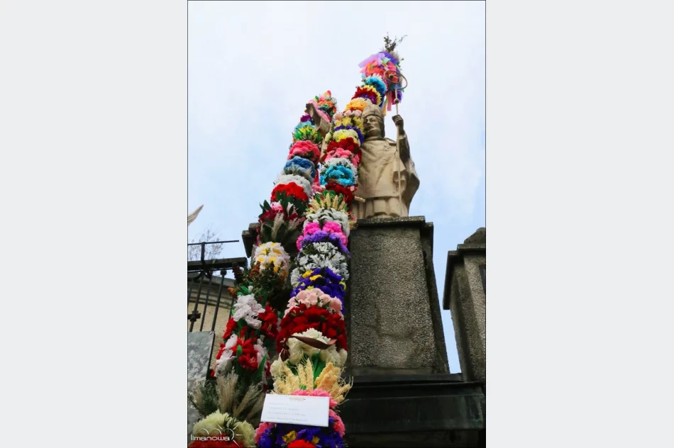 OCENIONO 47 PALM WIELKANOCNYCH - zdjęcie 18