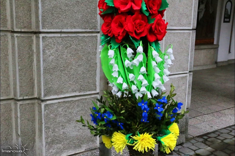 OCENIONO 47 PALM WIELKANOCNYCH - zdjęcie 19