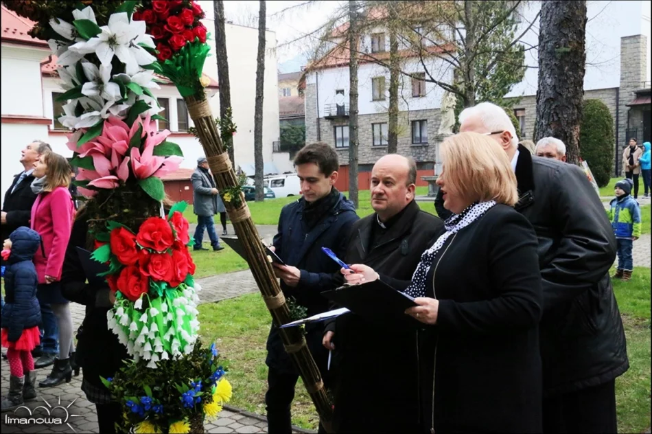 OCENIONO 47 PALM WIELKANOCNYCH - zdjęcie 20