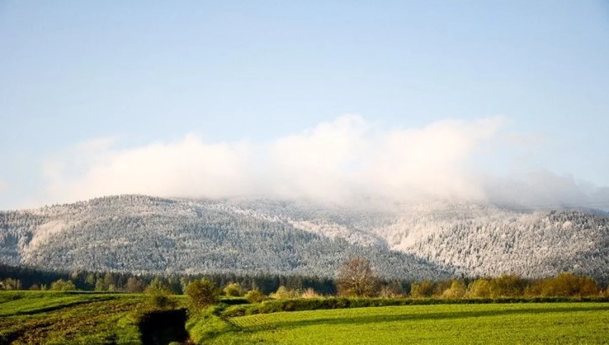 IMGW ostrzega przed przymrozkami w regionie