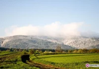 Ostrzeżenie meteorologów: przymrozki - zdjęcie główne