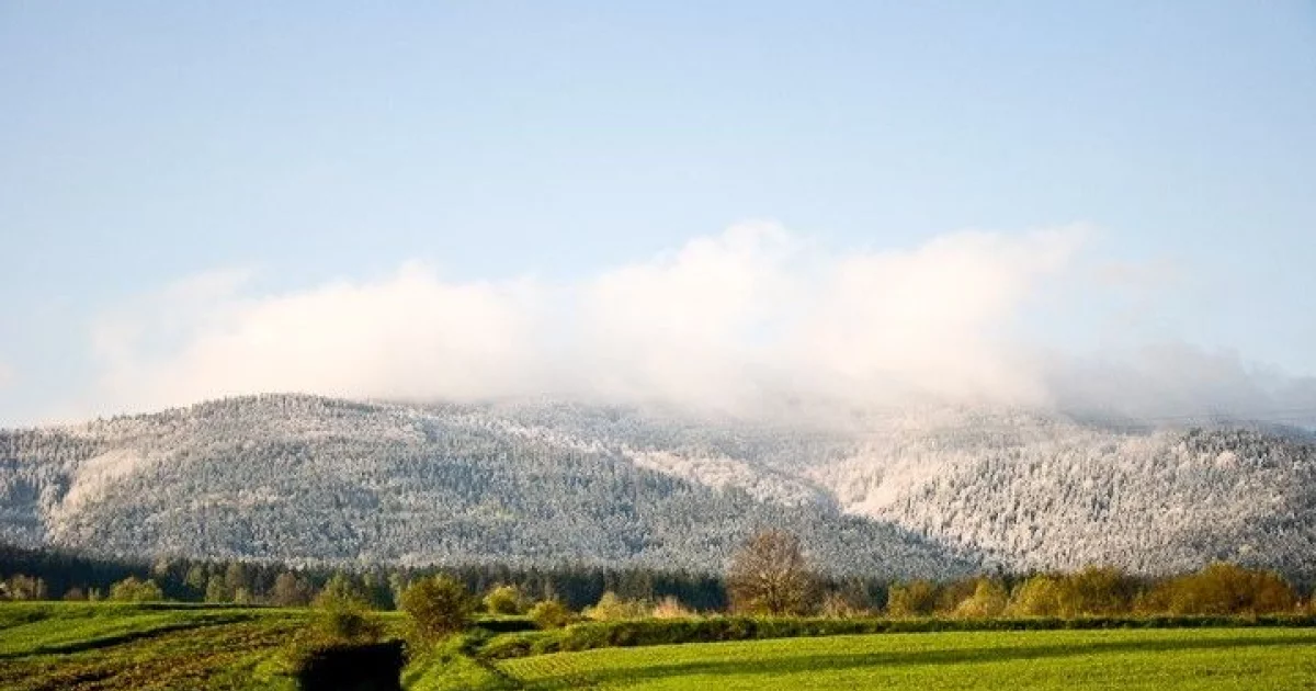 IMGW ostrzega przed przymrozkami w regionie