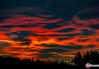 Ostrzeżenie przed halnym - zdjęcie główne