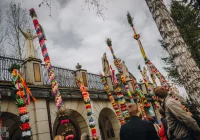 Komisja oceniła 47 palm - najwyższa miała 14 metrów i 1800 kwiatów - zdjęcie główne