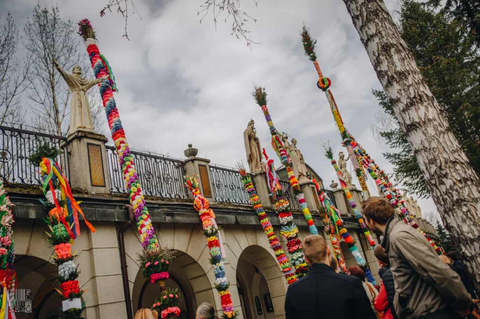 Niedziela Palmowa w Limanowej i Tymbarku - 2019 - zdjęcie 5