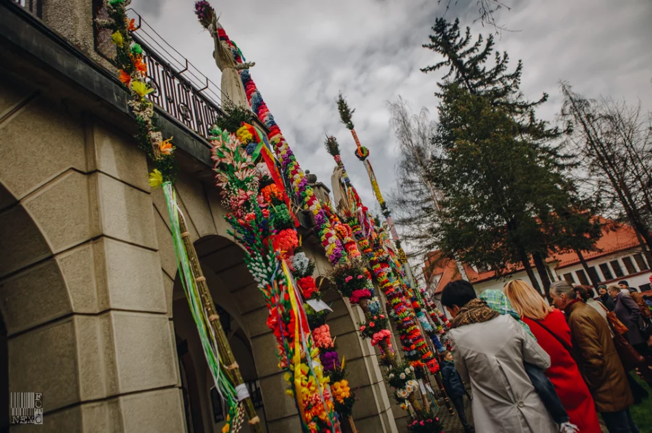 Niedziela Palmowa w Limanowej i Tymbarku - 2019 - zdjęcie 6