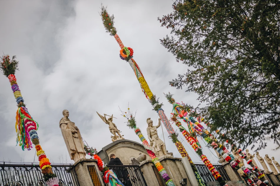 Niedziela Palmowa w Limanowej i Tymbarku - 2019 - zdjęcie 10