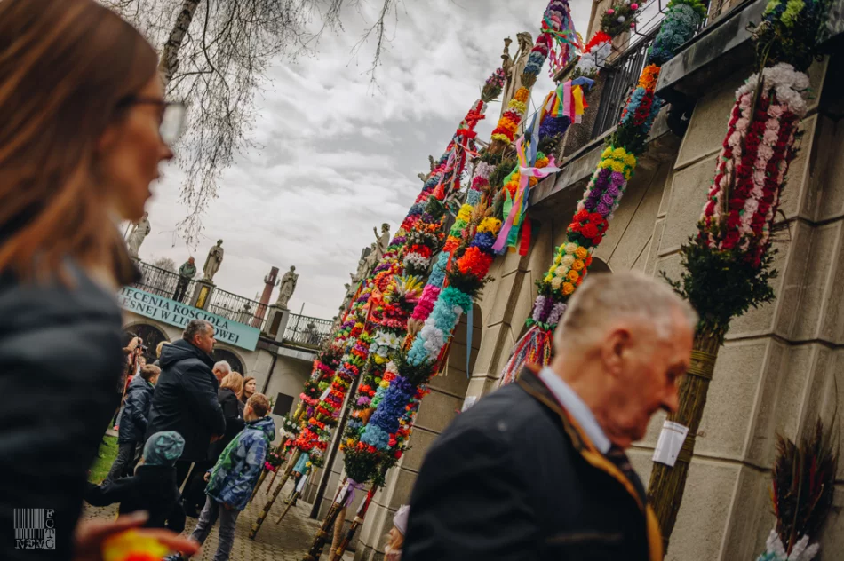 Niedziela Palmowa w Limanowej i Tymbarku - 2019 - zdjęcie 18