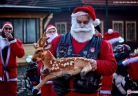 Paczki świąteczne prosto z motocykla - zdjęcie główne