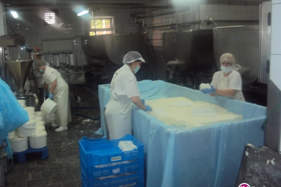 Rolnicy z Francji gościli w limanowskiej spółdzielni - zdjęcie 3